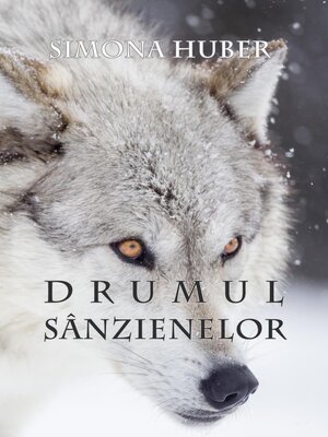 cover image of Drumul Sanzienelor